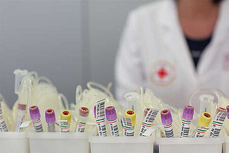 DRK - Blutspendedienst